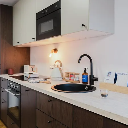 Prague Days - Attic Maisonette With Workspace And Netflix In Vinohrady Lejlighed *